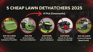 5 Cheap Grass Dethatchers for LAWN 2025