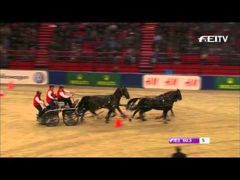 FEI World Cup™ Driving 2013/14 Stockholm - Georg Von Stein 2nd Place
