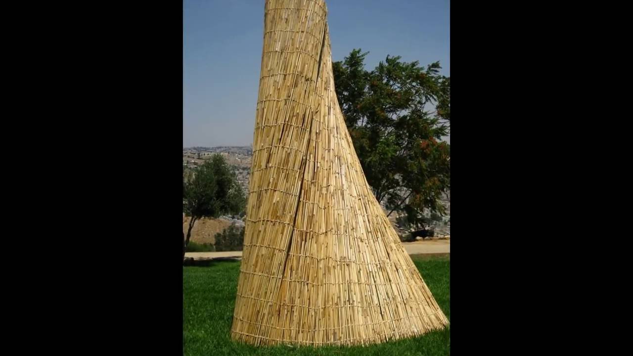 קני סוף - חייג 072-2133333