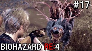 獰猛な狂犬との闘い！！バイオハザードRE:４  初見実況プレイ＃17
