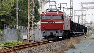 【JR工臨】工6883レ EF81 80号機 細田踏切 2019/07/02