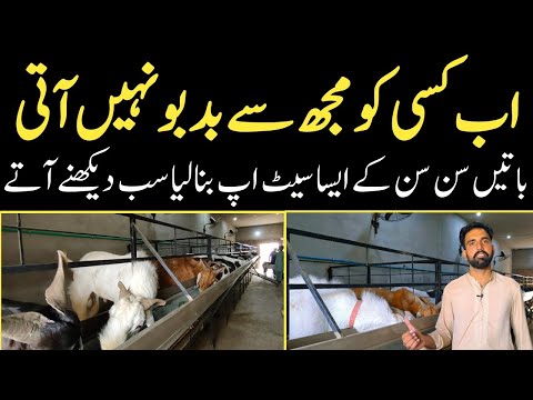 , title : 'European Standard Goat Farm in Pakistan || Smart way to start a successful Goat farming business'