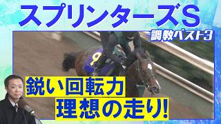 「渾身の仕上げ！」パンジャタワー、スターアニス、フリッカージャブ・・・競馬エイト・高橋賢司トラックマンの調教解説＜スプリンターズステークス(ＧⅠ)＞