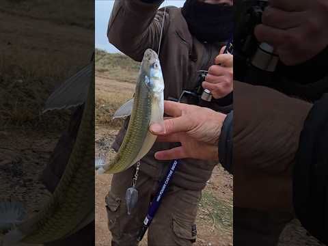 Buena pesca y buena comida en Guamini. Tenes el video completo en mi canal de YouTube 👌