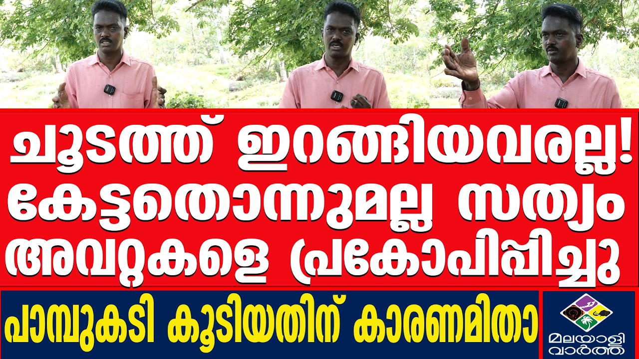 about snake bites in Kerala about snake bites in Kerala