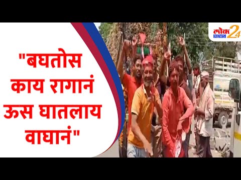 "बघतोस काय रागानं ऊस घातलाय वाघानं"| LOK News 24