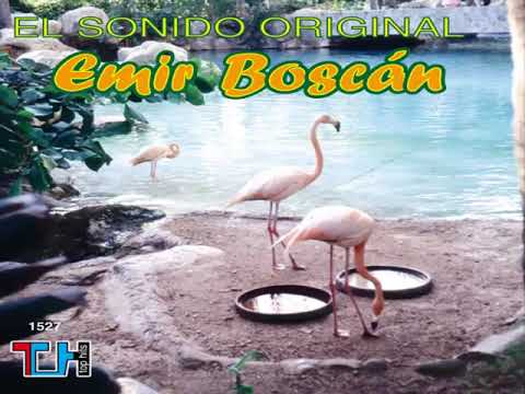 Carmenza - Emir Boscán