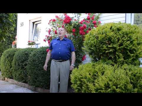 Muzikantas  Antanas   Bėga  metai.