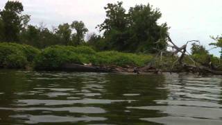 preview picture of video 'Potomac River Kayak & Swim'