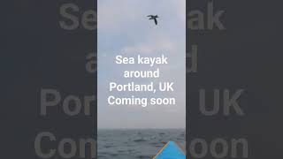 Portland coming soon Dolphin, tiderace, Royal Navy, Guillemots, lighthouses. GoneKayaking #insta360