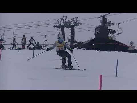 220424 SLショートポール