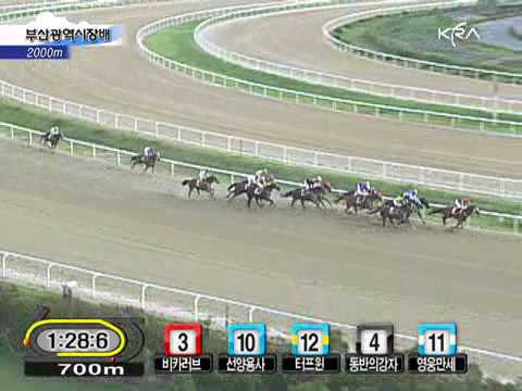 2010 The Mayor of Busan Metropolitan City Cup - Tough Win