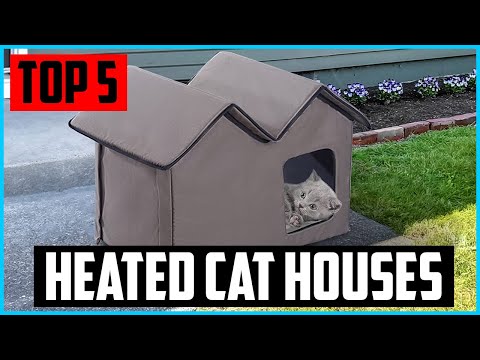 Top 5 Best Heated Cat Houses in 2022 Reviews
