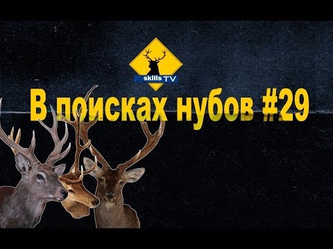 В поисках нубов 29