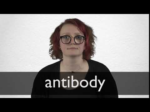 How to pronounce ANTIBODY in British English