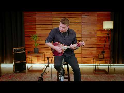 Ortega RMAE200PF Americana Series A-Style Solid Flamed Maple Top Maple Neck 8-String Acoustic-Electric Mandolin w/Croco Leather Case image 22