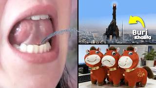 20 Cosas curiosas que encontré en Internet! 👀