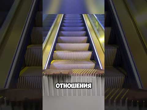 Зачем экскаватору такие ступеньки? @zackdfilms