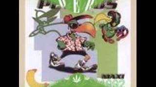 Reggae irie Music Video