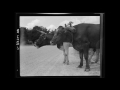 American Folk Music (Southern): Jack, Can I Ride