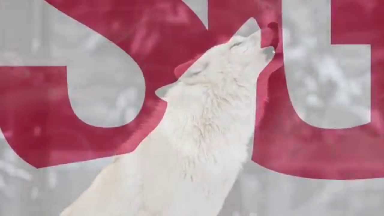 NC State Student Government New Logo Launch