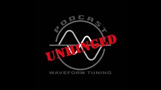 WaveForm Unhinged: Episode 1: Erin & I Spill the Truth About References – Not All of Them Are Good!