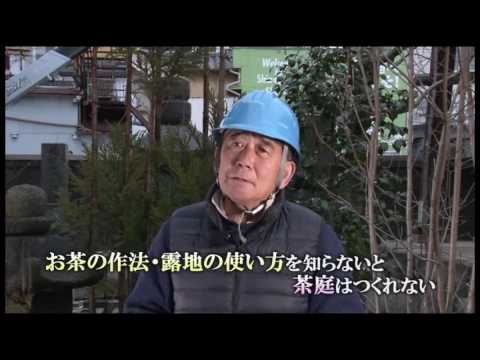 aménagement jardin paysager -jeunes-arbres-fleurs-piscine-enterrée