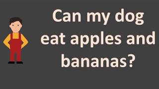 Can my dog eat apples and bananas ?