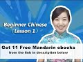 Beginner Chinese lesson 1