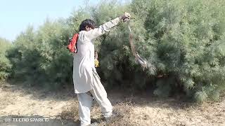 Jogi Took Out The Snake From The Bushes By Playing The Bean / SNAKE  MAN