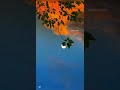 Vennilave Vennilave Tamil WhatsApp Status Video