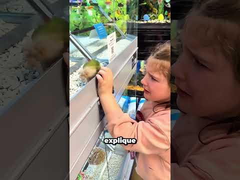 Elle croyait avoir trouvé son oiseau, jusqu'à ce que...