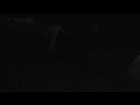 vanfest 2008 mudslide