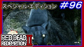 【【クーガーを双眼鏡でやりすごす】】#96 RED DEAD REDEMPTION 2：スペシャルエディション【ナイトフォークと戦闘、荒野の爆発する家】