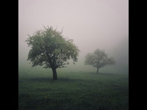 RND feat. Cole The VII - I Trust