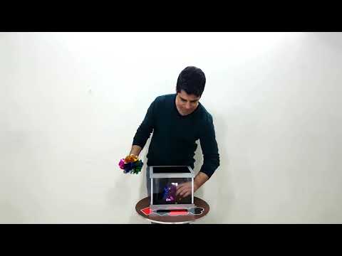 Tora Glassy Box 2 Times