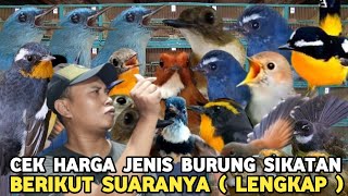 Download lagu 13 TYPES OF BRUSH BIRDS, THEIR PRICES AND SOUNDS AT THE PRAMUKA BIRD MARKET mp3 Download lagu 13 TYPES OF BRUSH BIRDS, THEIR PRICES AND SOUNDS AT THE PRAMUKA BIRD MARKET mp3