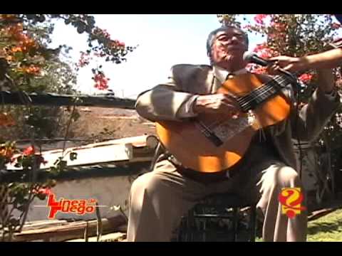 HOMENAJE A LOS DAVALOS.flv