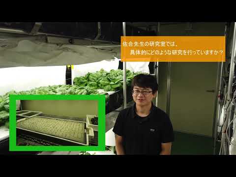 【山口大学OC2025／農学部／生物資源環境科学科】3 施設園芸学分野