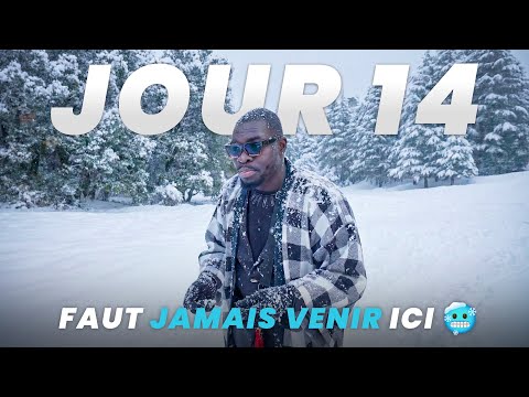 Archii Qsa Tv and Archii qsa Tv 02