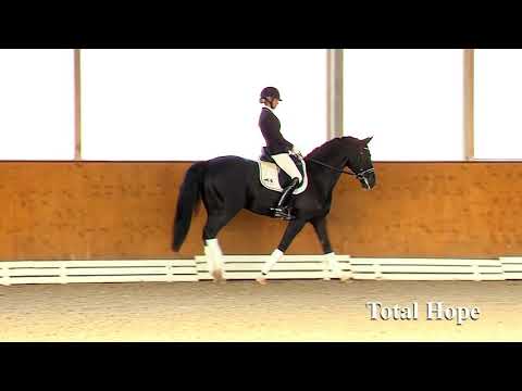 Total Hope (Totilas x Don Schufro x Sandro Hit)