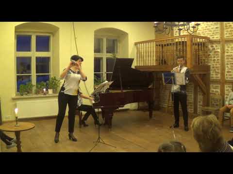 Gerijs Šokers Ūdens mūzika - I daļa Viļņi