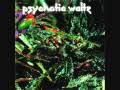 Psychotic Waltz - Mosquito 