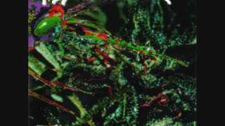 Psychotic Waltz - Mosquito