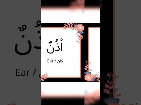 Parts of body in Arabic language - Al-Hikmah institute 🌺