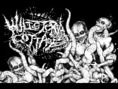 Whisteria Cottage - Your Broadcast Is Interrupted