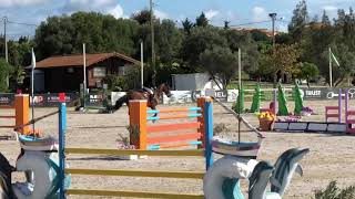 Video koně Trinity D'i