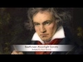 Beethoven Rock Version - Moonlight Sonata ...