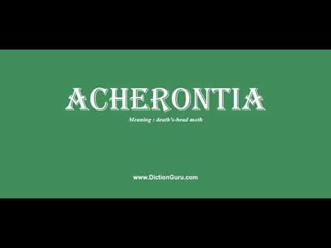 acherontia: How to pronounce acherontia with Phonetic and Examples