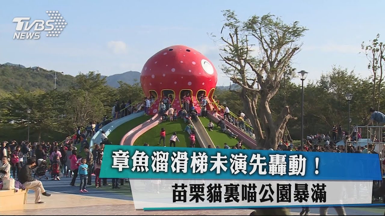 章魚溜滑梯未演先轟動！　苗栗貓裏喵公園暴滿